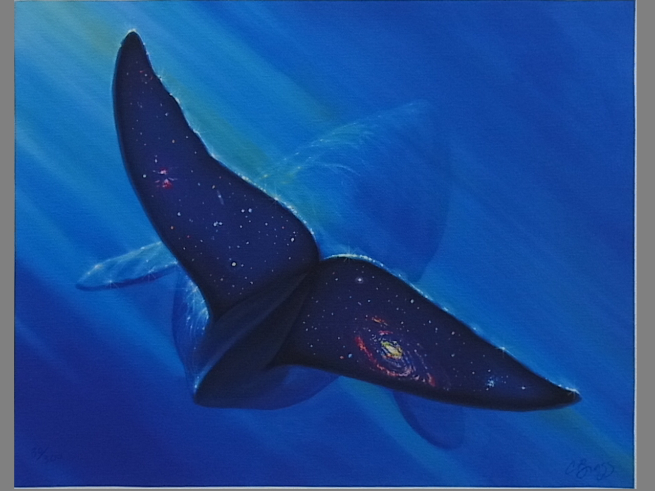 チャールズ・リン・ブラッグの絵画作品　タイトルは、WHALE TAIL GALAXY